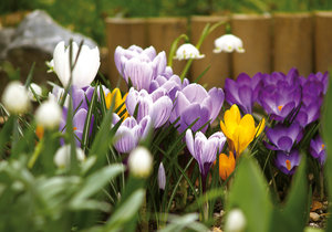 Ostern gemeinsam verbringen